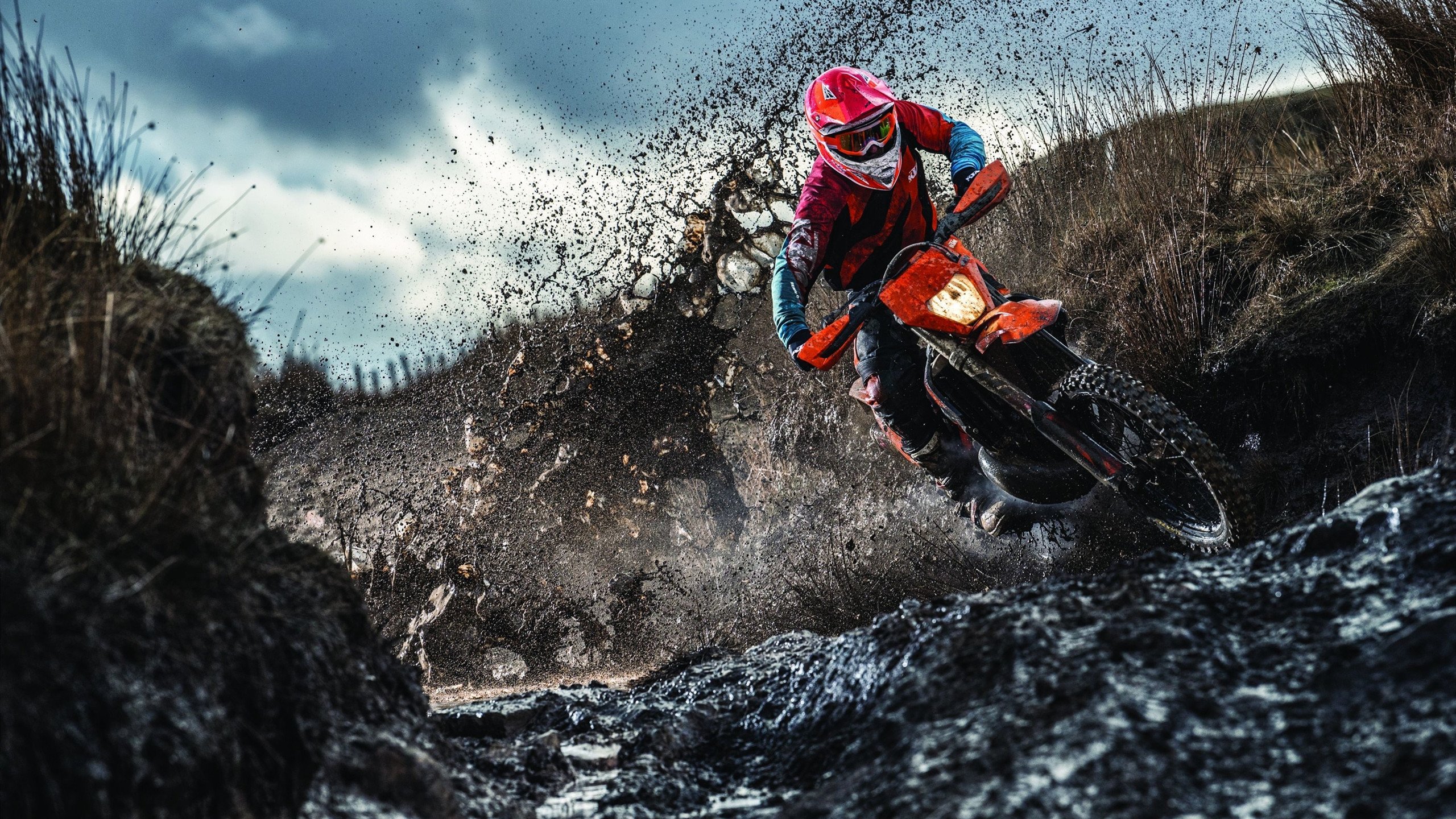 TL观众热烈欢呼！，JackeyLove迎来十五赛季出色发挥比赛高潮迭起